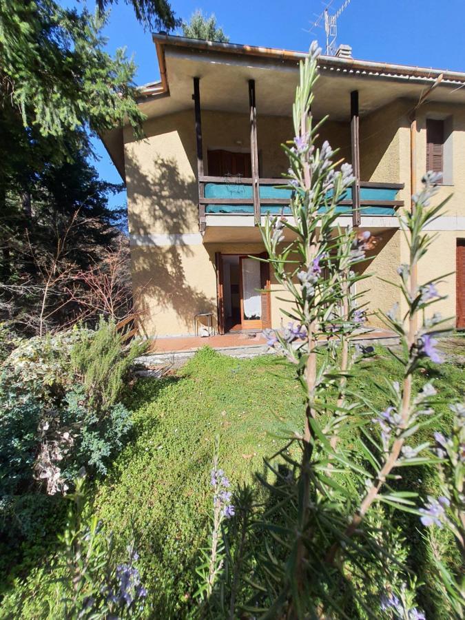 Rose Mary La Casa Nel Bosco Lejlighed Borzonasca Eksteriør billede